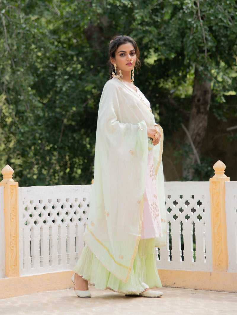 Noor Harita Gulaab Sharara Set Kurta Sets by Maison Shefali for women Worldwide