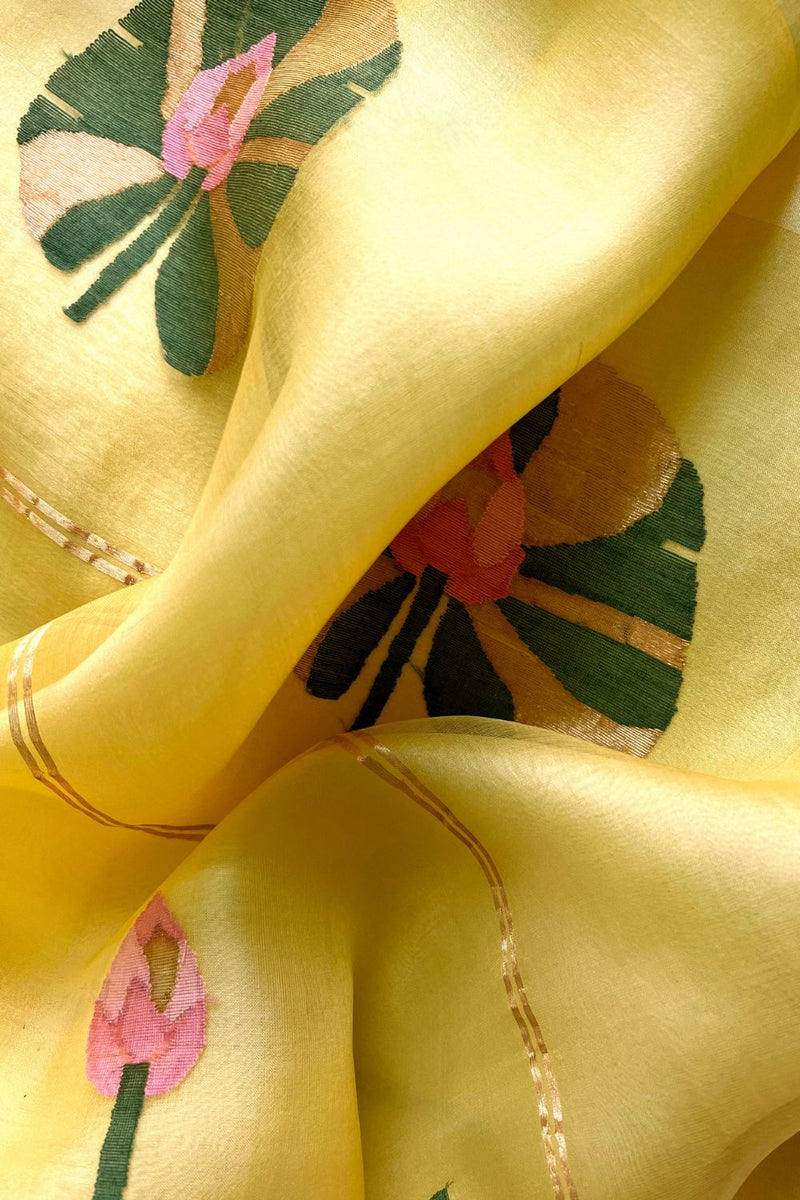 Paaro Sari Sarees by Suparna Som for women Worldwide