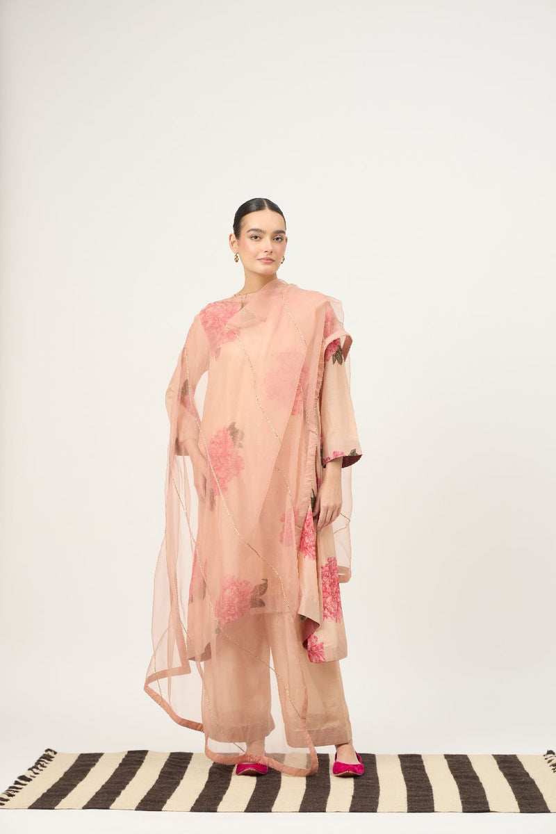 Blush Chintz Dupatta