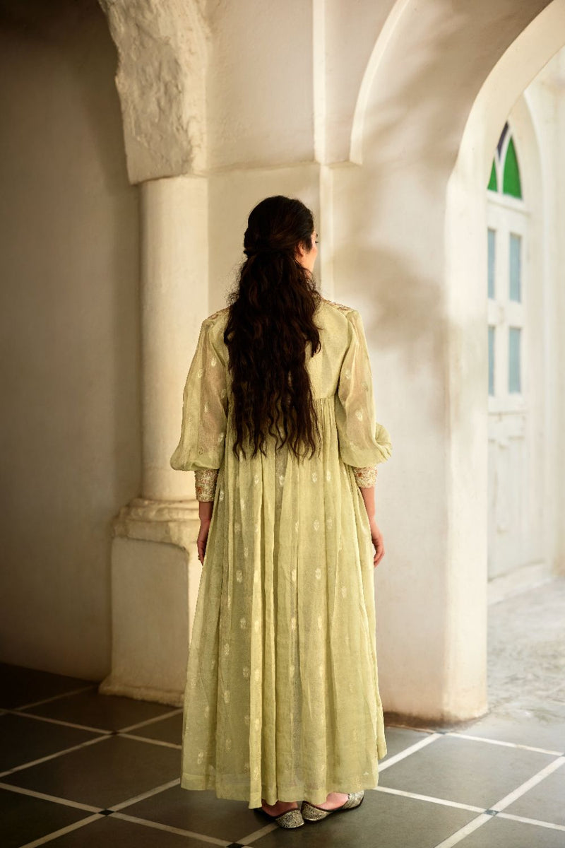 PH-3114 Solene Palazzo Jacket Set by Paulmi & Harsh in green color for women Worldwide