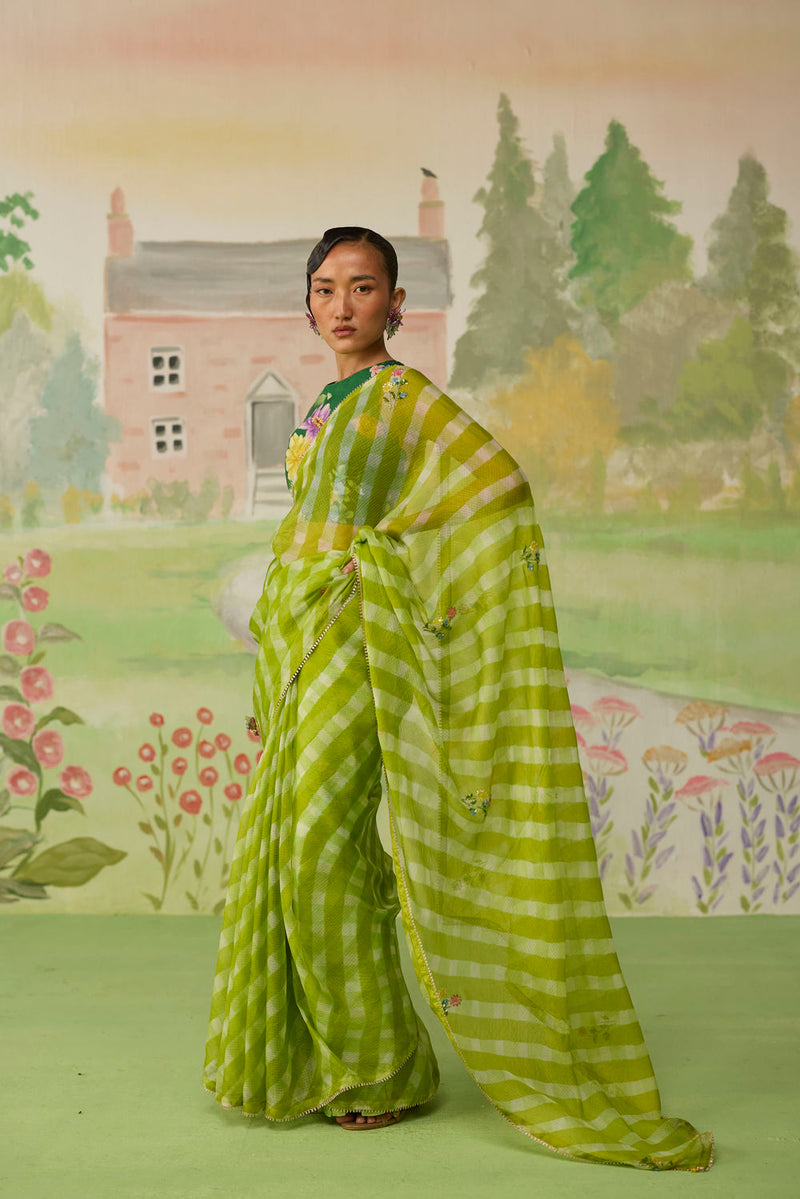 Trellis Green Kota Doria Silk Lehriya Mothra Sari silk saree by Nadiya Paar in green for women Worldwide