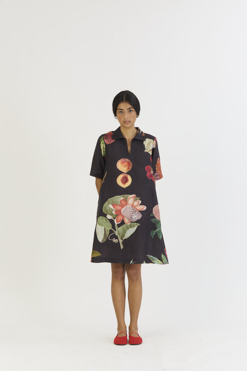 PLUM SHORT COLLARED DRESS by Yam for women Worldwide