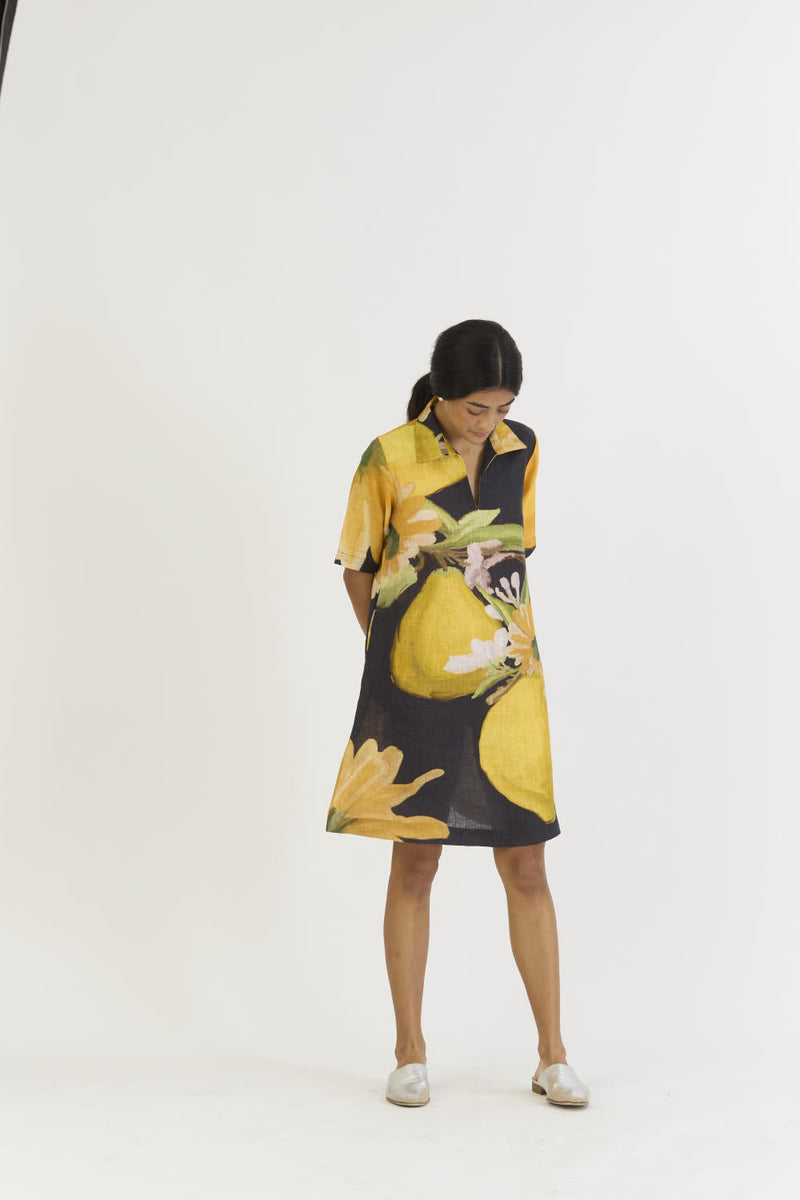 POMELLO SHORT COLLARED DRESS by Yam in yellow color for women Worldwide