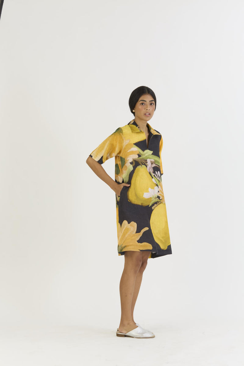 POMELLO SHORT COLLARED DRESS by Yam in yellow color for women Worldwide