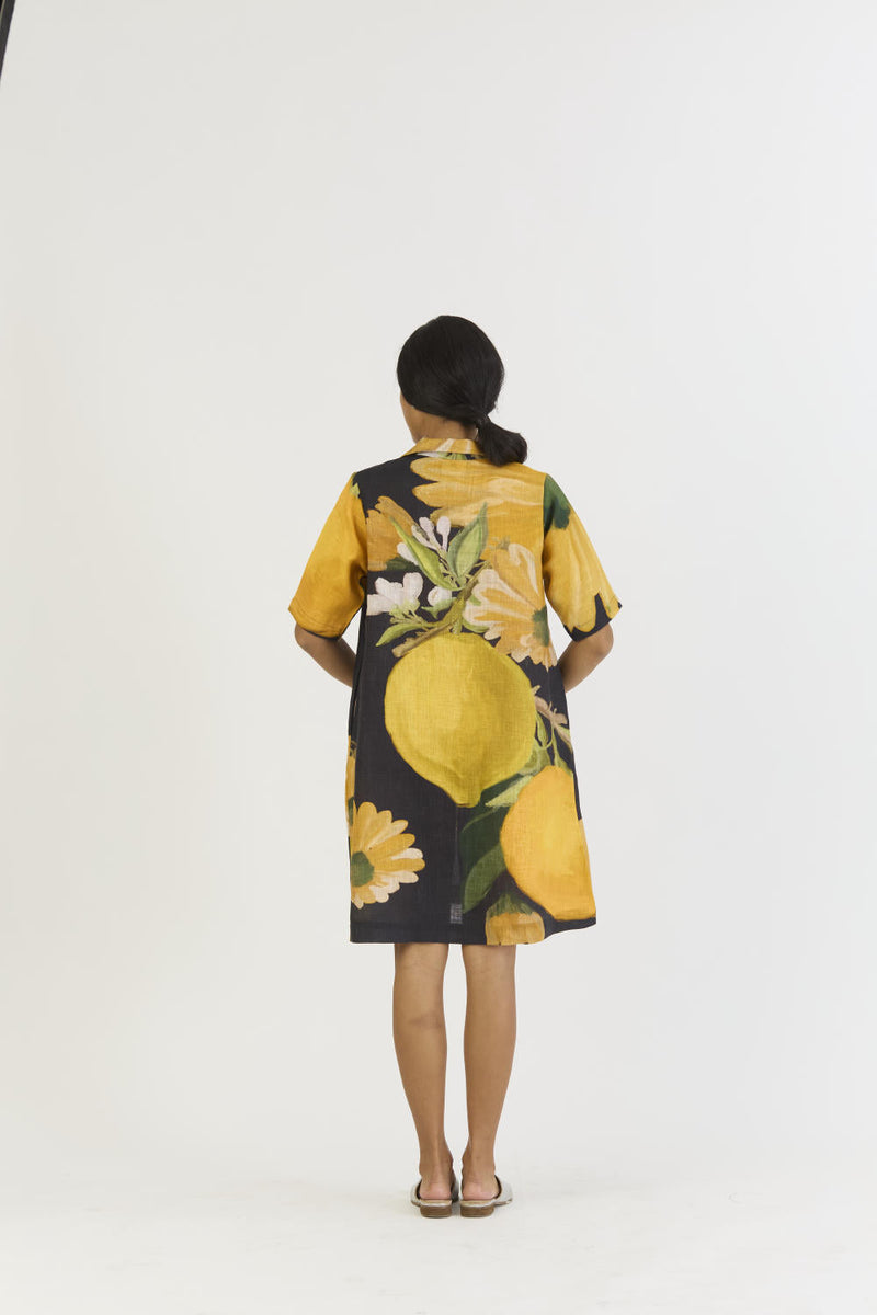 POMELLO SHORT COLLARED DRESS by Yam in yellow color for women Worldwide