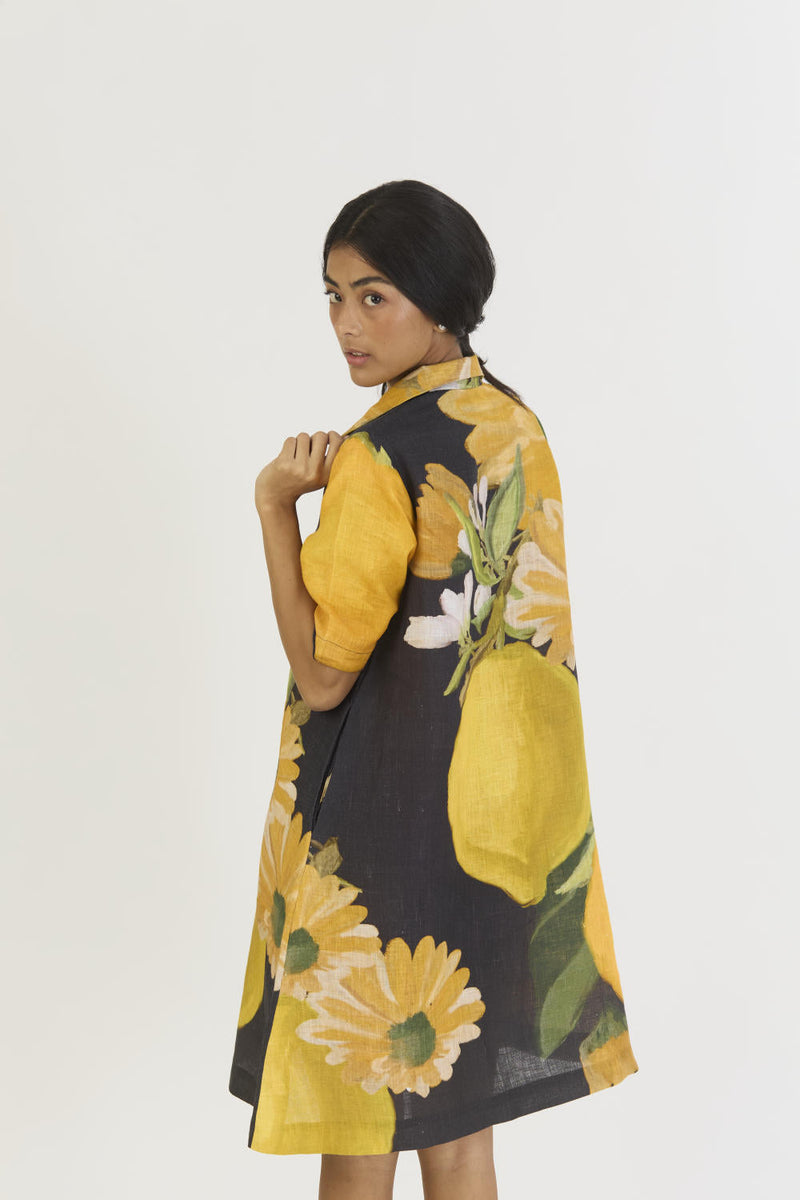 POMELLO SHORT COLLARED DRESS by Yam in yellow color for women Worldwide