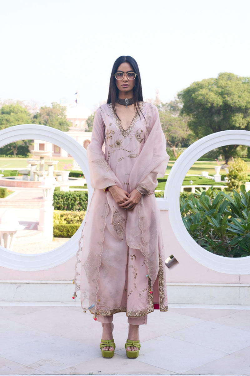 Retro Raani Champagne Pink Jaal Kurta Set silk, silk organza kurta/kurta set by Rajiramniq in pink for women Worldwide
