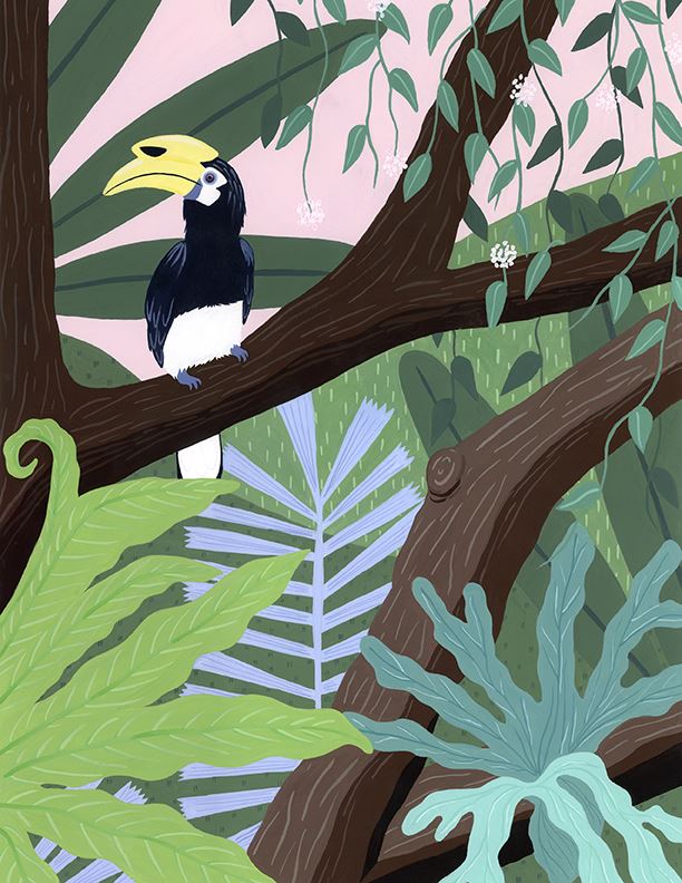 Singapore Neighbours Oriental Pied Hornbill Fine Art Print Art Em+Co Art
