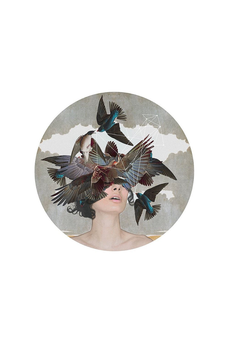 Swallow Blind Art Alexandra Gallagher 